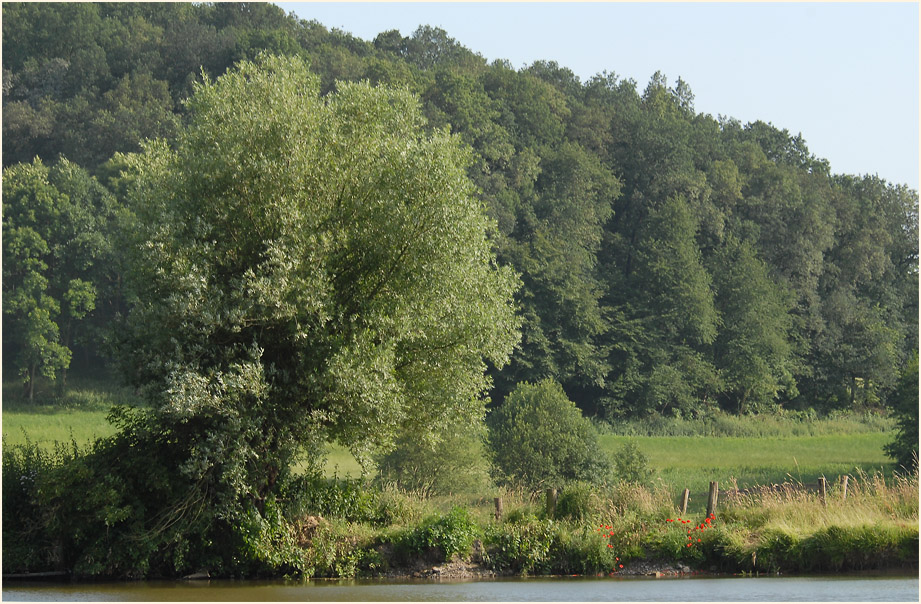 Rotth&auml;user Bachtal D&uuml;sseldorf