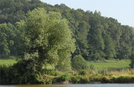 vergrößern
