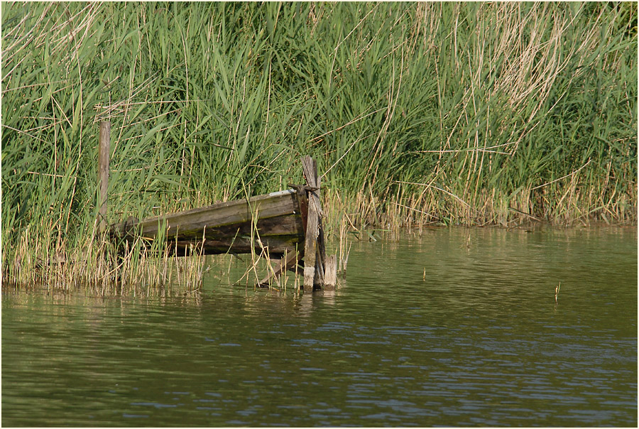 Fischteich, Rotthäuser Bachtal Düsseldorf