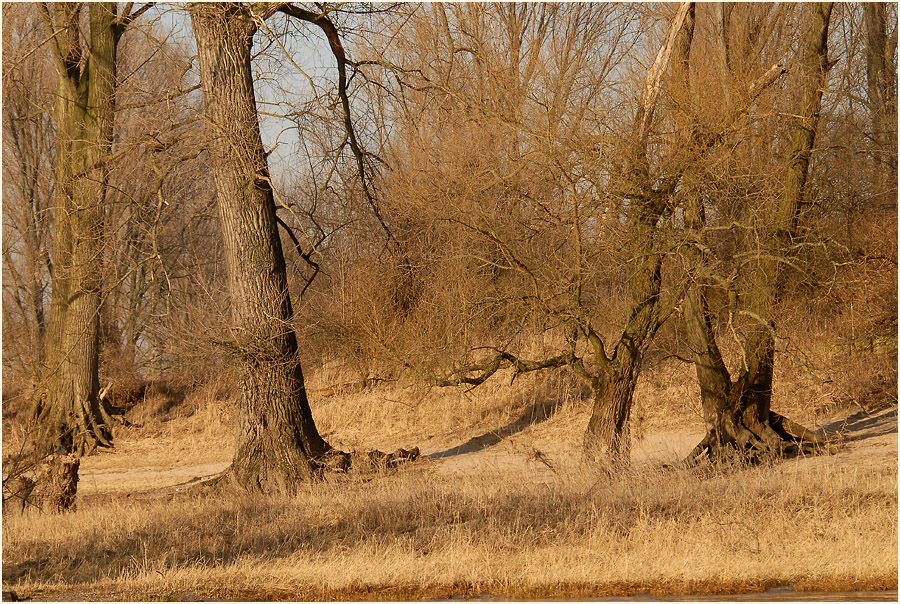 Urdenbacher Kämpe Düsseldorf