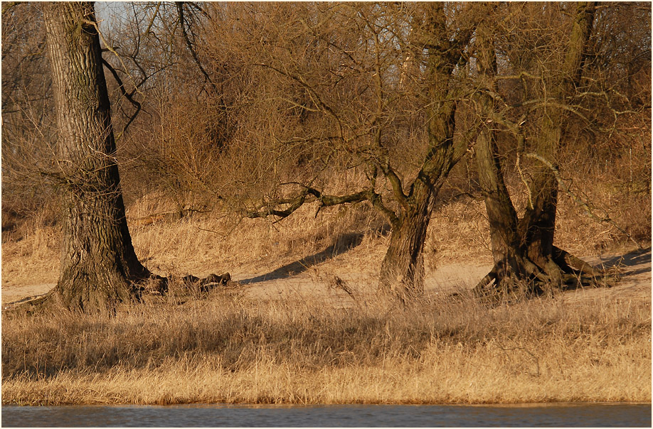 Urdenbacher Kämpe Düsseldorf