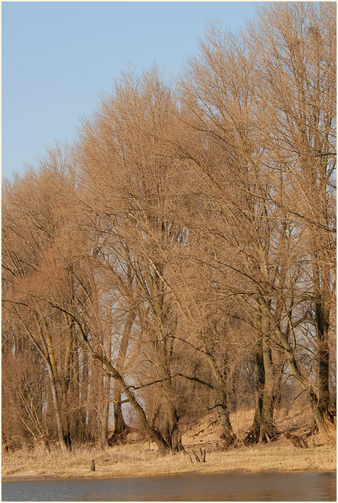 Urdenbacher Kämpe Düsseldorf