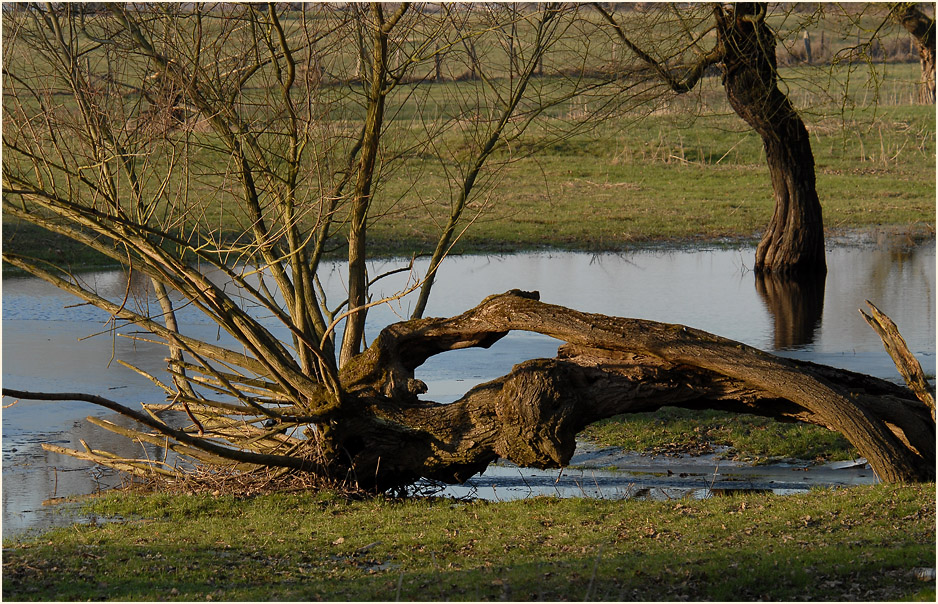Urdenbacher Kämpe Düsseldorf