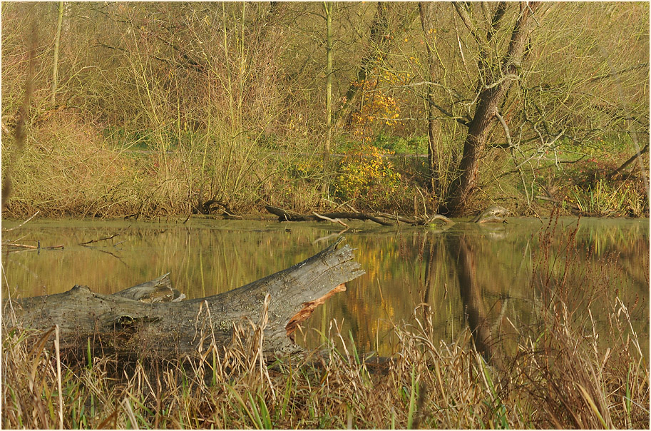 Urdenbacher Kämpe Düsseldorf