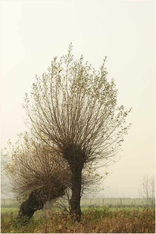 Urdenbacher Kämpe Düsseldorf