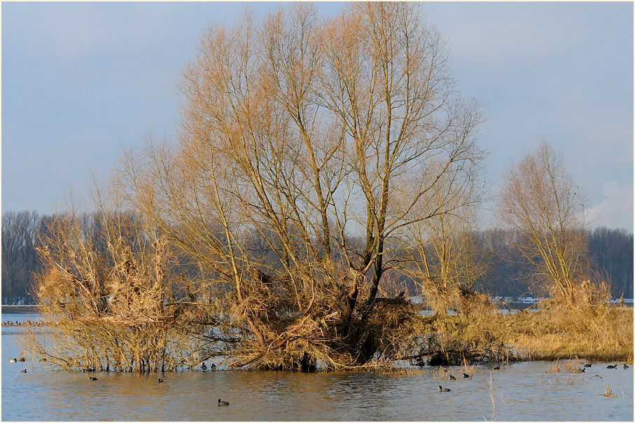 Urdenbacher Kämpe Düsseldorf