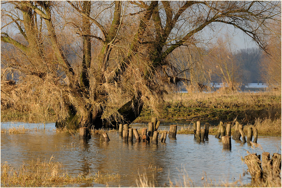 Urdenbacher Kämpe Düsseldorf