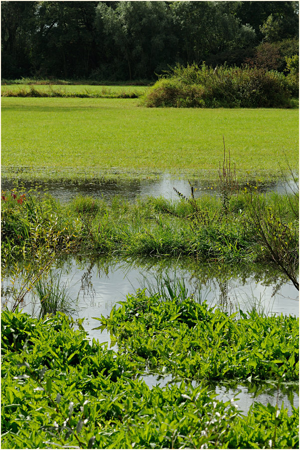 Urdenbacher Kämpe Düsseldorf