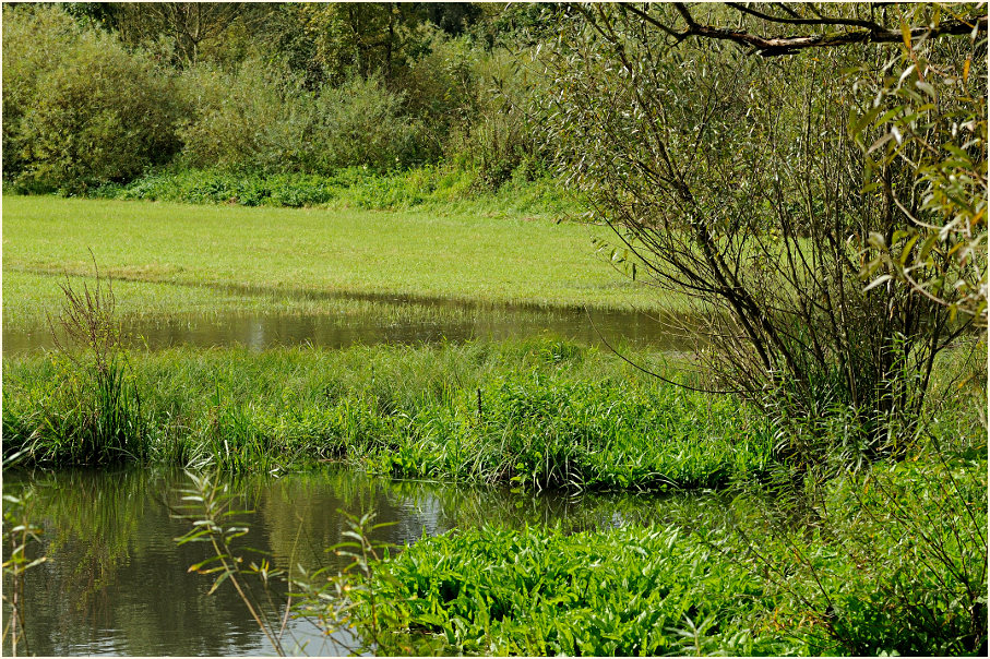 Urdenbacher Kämpe Düsseldorf