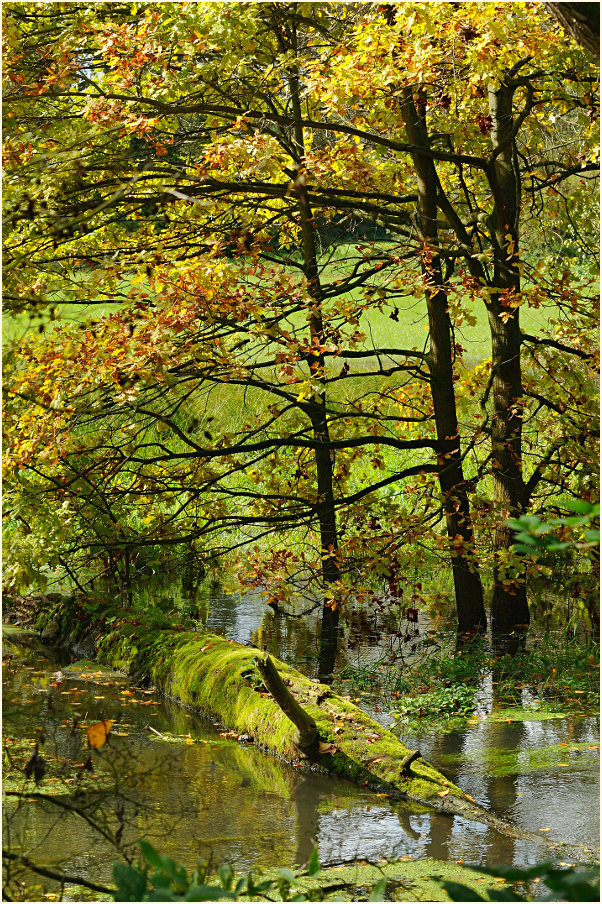 Urdenbacher Kämpe Düsseldorf