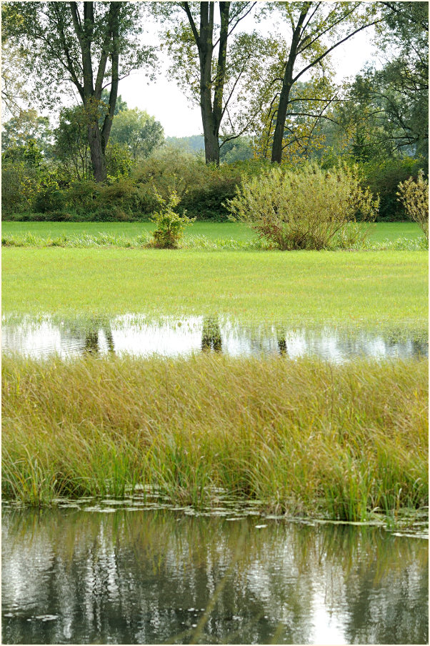 Urdenbacher Kämpe Düsseldorf