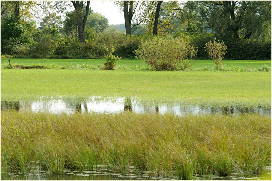 Urdenbacher Kämpe Düsseldorf