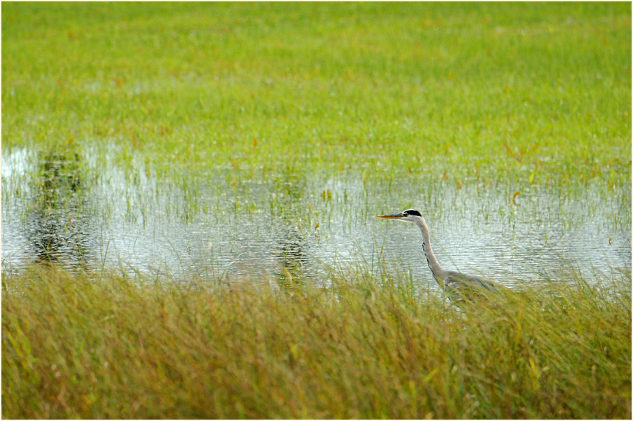 Urdenbacher Kämpe Düsseldorf
