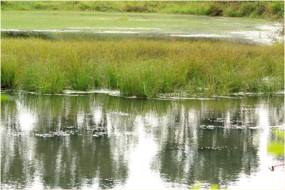 Urdenbacher Kämpe Düsseldorf