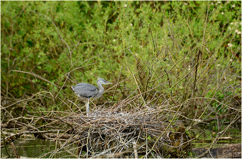 Urdenbacher Kämpe Düsseldorf