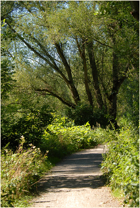Urdenbacher Kämpe Düsseldorf