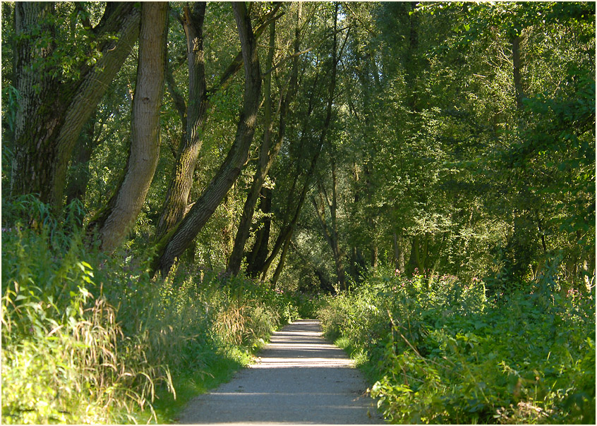 Urdenbacher Kämpe Düsseldorf
