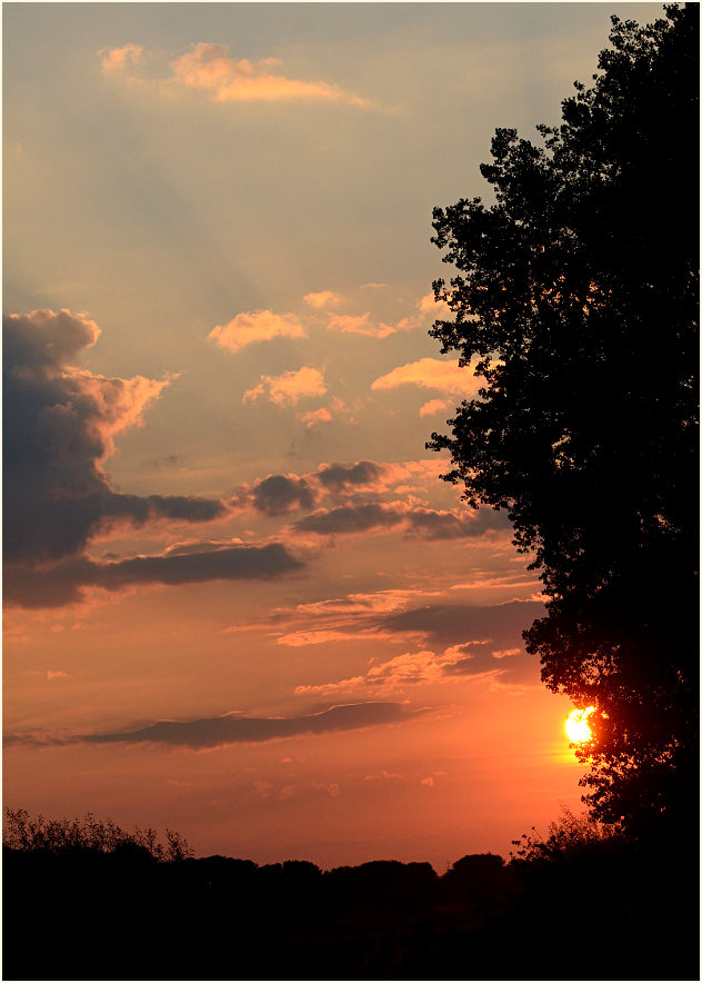 Sonnenuntergang, Urdenbacher Kämpe Düsseldorf
