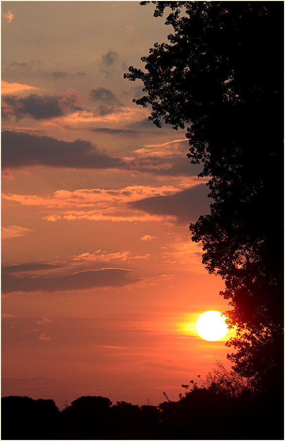 Sonnenuntergang, Urdenbacher Kämpe Düsseldorf