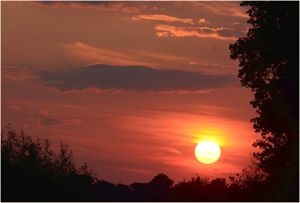 Sonnenuntergang, Urdenbacher Kämpe Düsseldorf