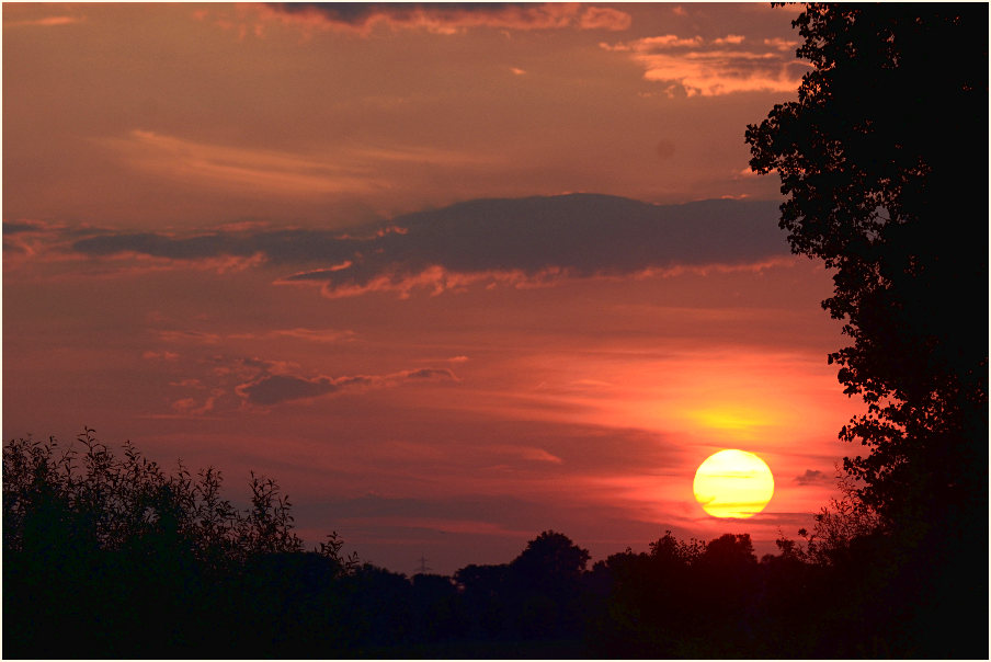 Sonnenuntergang, Urdenbacher Kämpe Düsseldorf