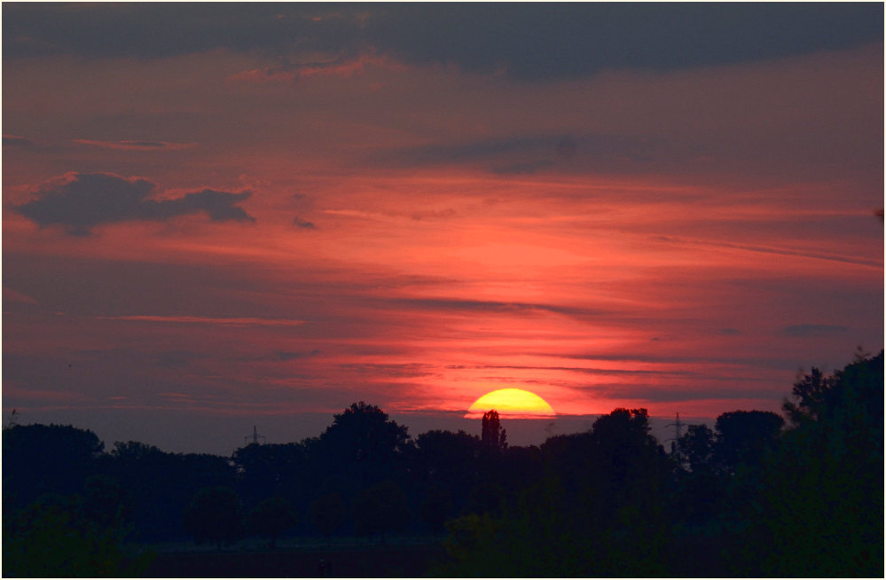 Sonnenuntergang, Urdenbacher Kämpe Düsseldorf