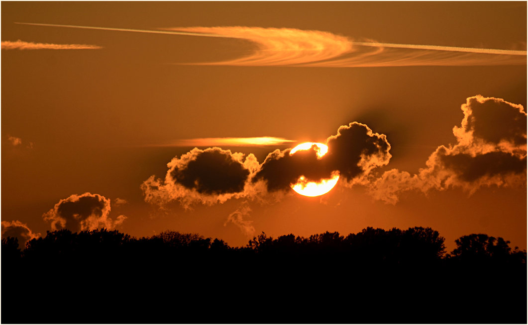 Urdenbacher Kämpe Düsseldorf