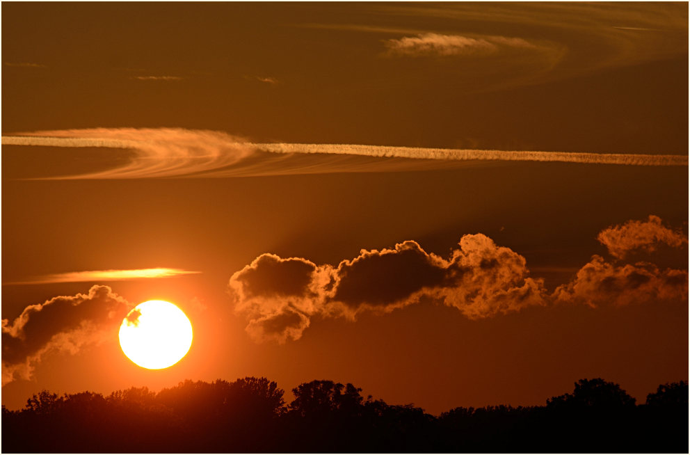 Urdenbacher Kämpe Düsseldorf