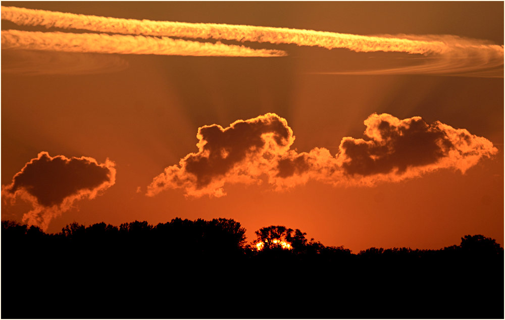 Urdenbacher Kämpe Düsseldorf