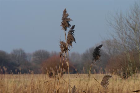 vergrößern