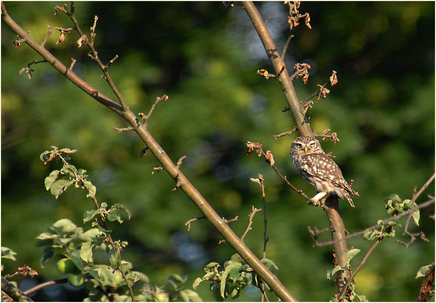 Urdenbacher Kämpe Düsseldorf