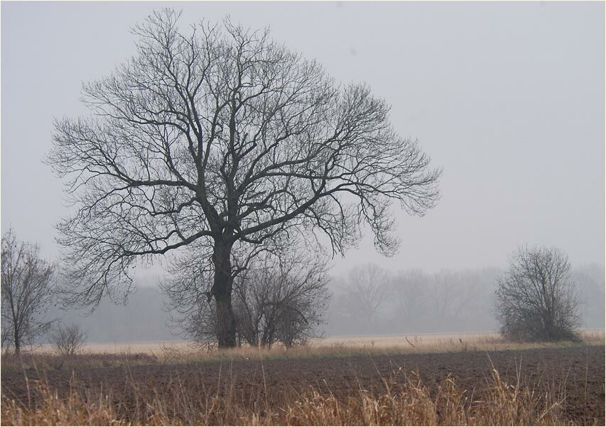 Urdenbacher Kämpe Düsseldorf