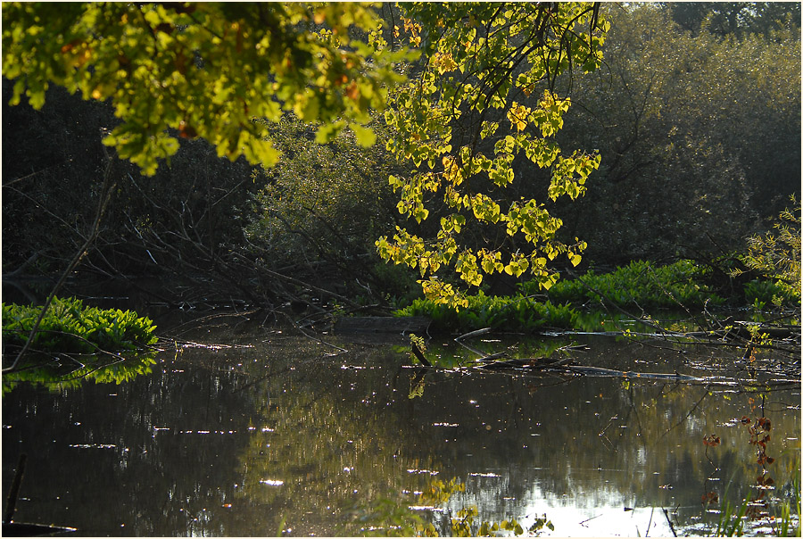 Urdenbacher Kämpe Düsseldorf