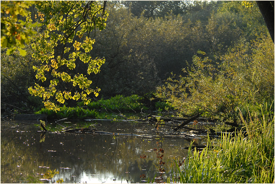 Urdenbacher Kämpe Düsseldorf
