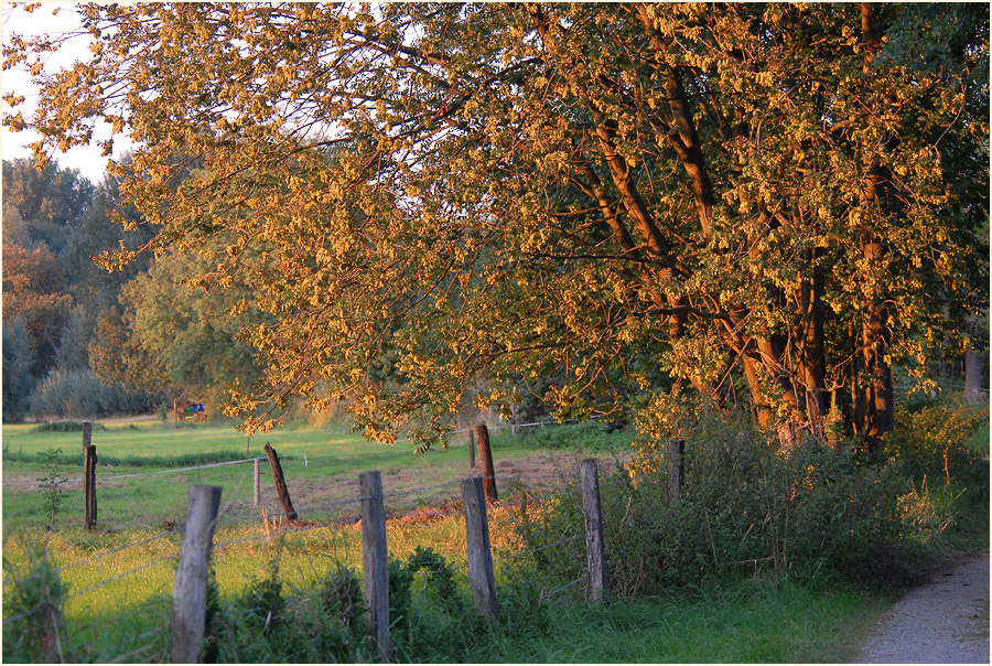Urdenbacher Kämpe Düsseldorf