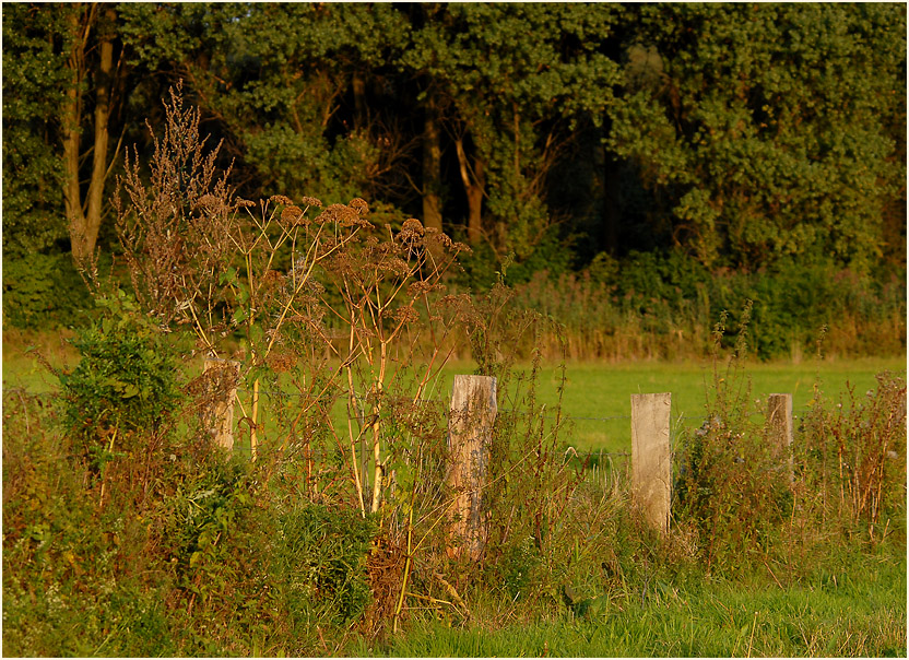 Urdenbacher Kämpe Düsseldorf