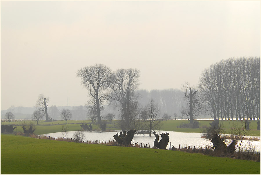 Urdenbacher Kämpe Düsseldorf