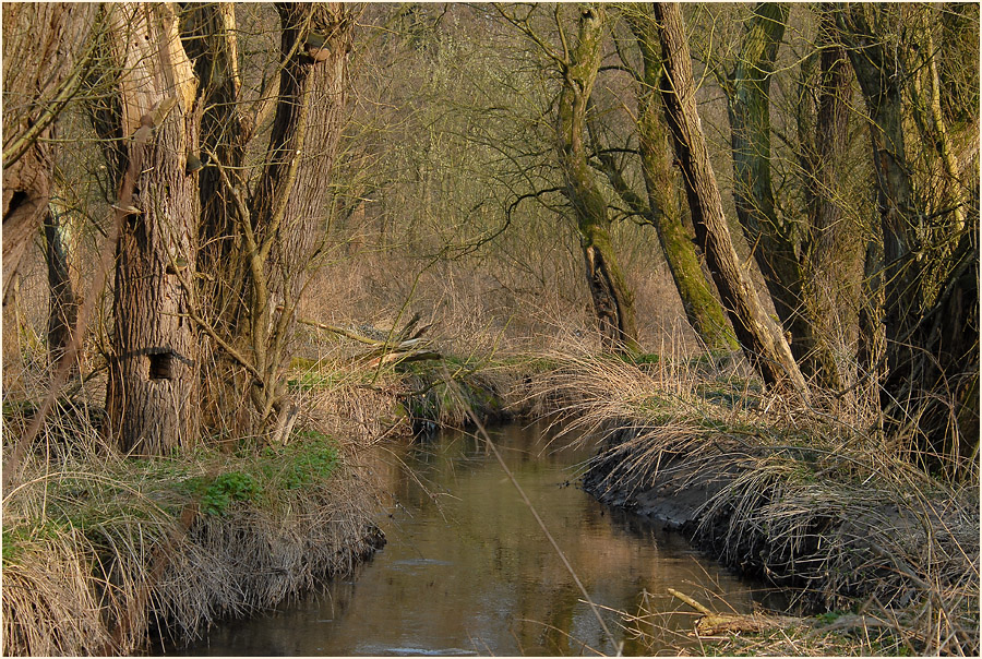 Urdenbacher Kämpe Düsseldorf