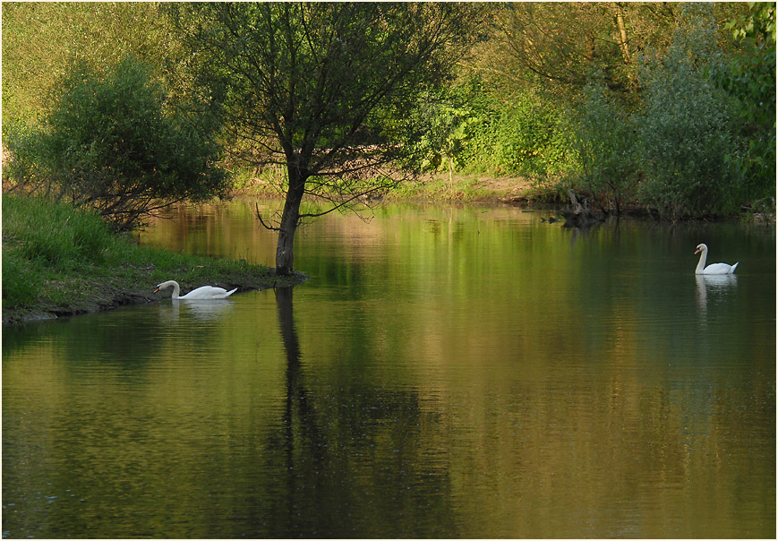 Urdenbacher Kämpe Düsseldorf
