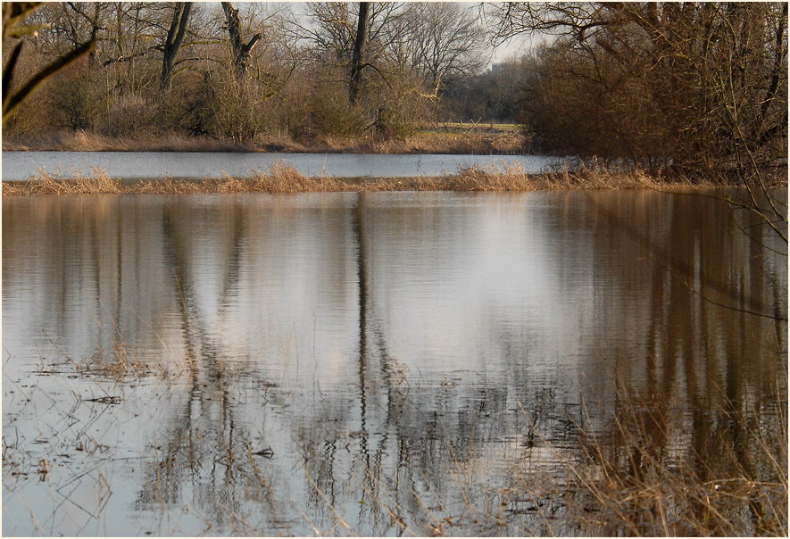 Altrhein, Urdenbacher Kämpe Düsseldorf
