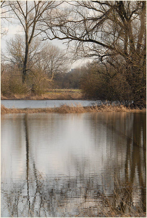 Altrhein, Urdenbacher Kämpe Düsseldorf