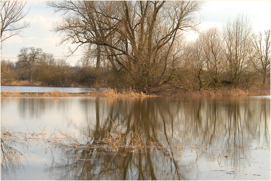 Altrhein, Urdenbacher Kämpe Düsseldorf