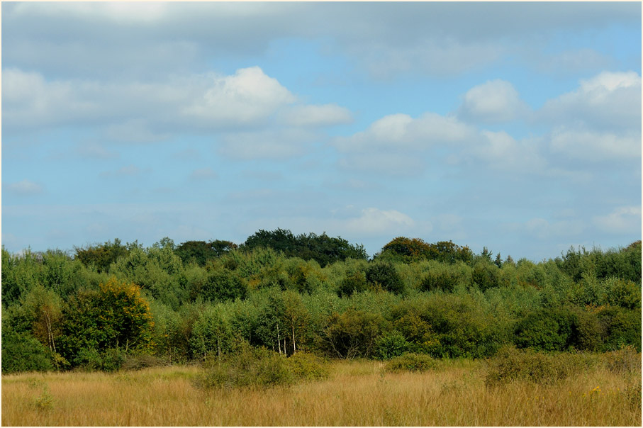 Herfeld, Wahner Heide