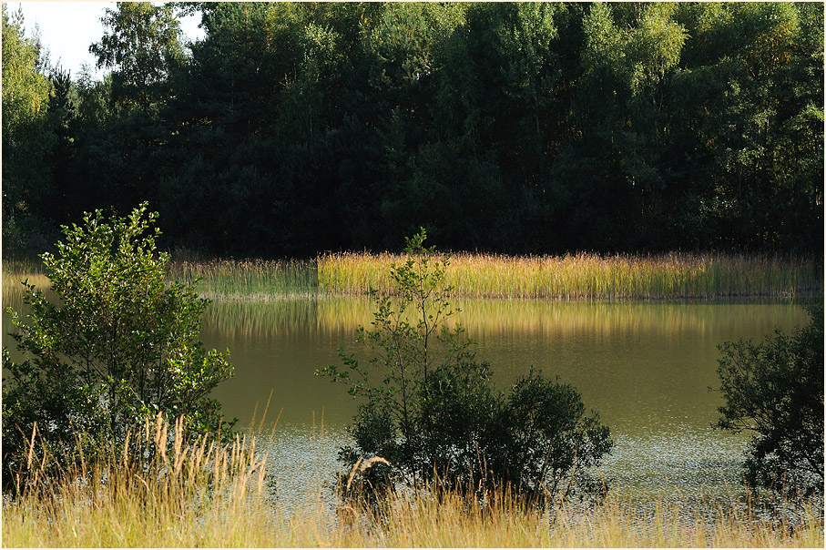 Tongrube, Wahner Heide