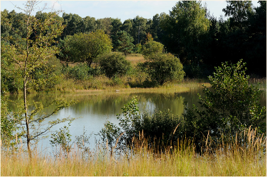 Tongrube, Wahner Heide