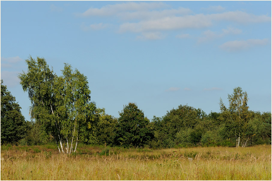 Wahner Heide