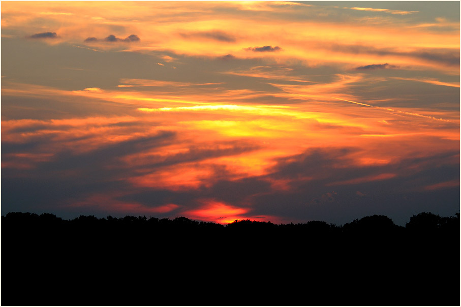 Sonnenuntergang im Geisterbusch, Wahner Heide