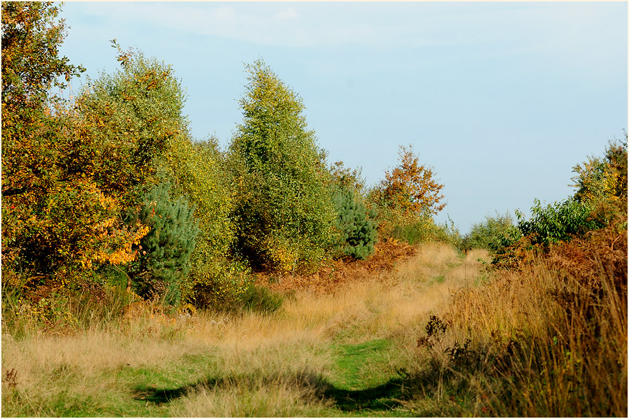 Wahner Heide