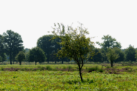 vergrößern