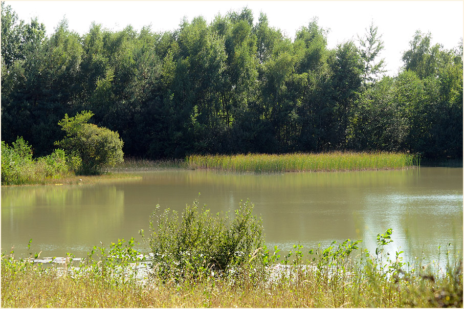 Tongrube, Wahner Heide